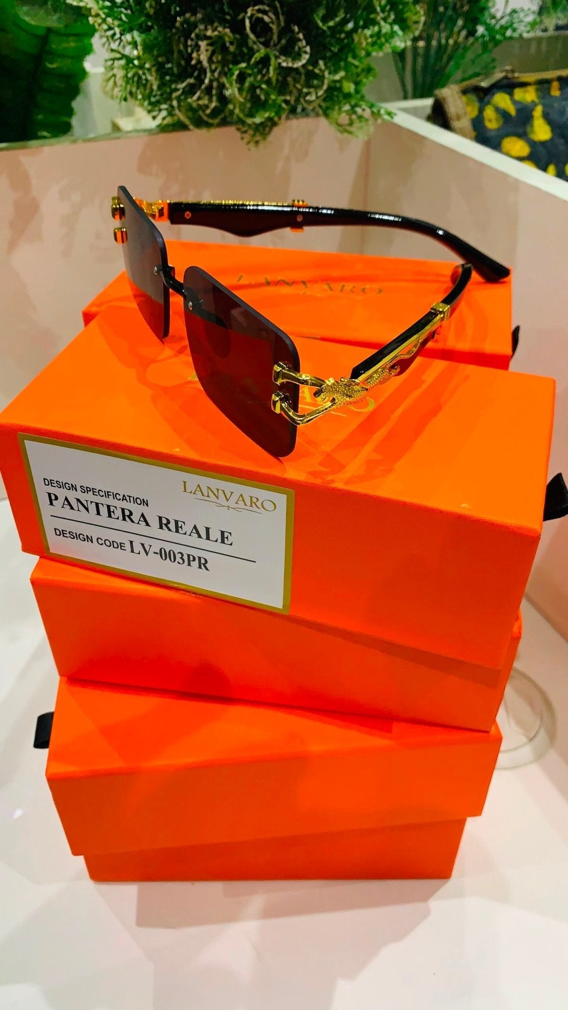 Pantera Reale – Premium Gold Frame Sunglasses - Lanvaro
